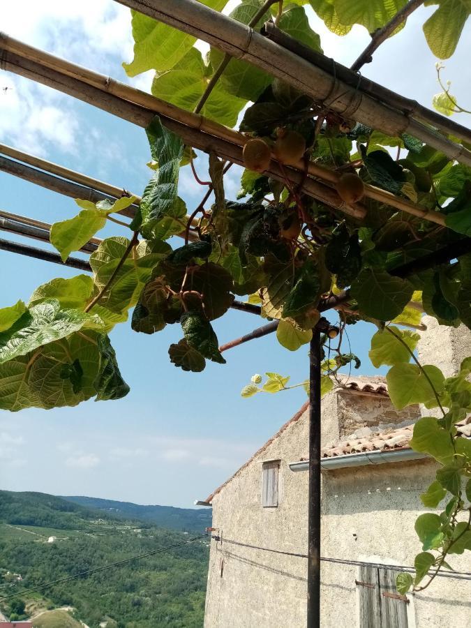 Rooms Serafin-Lavanda Motovun Exterior photo